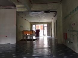 万锦香樟树带地下室